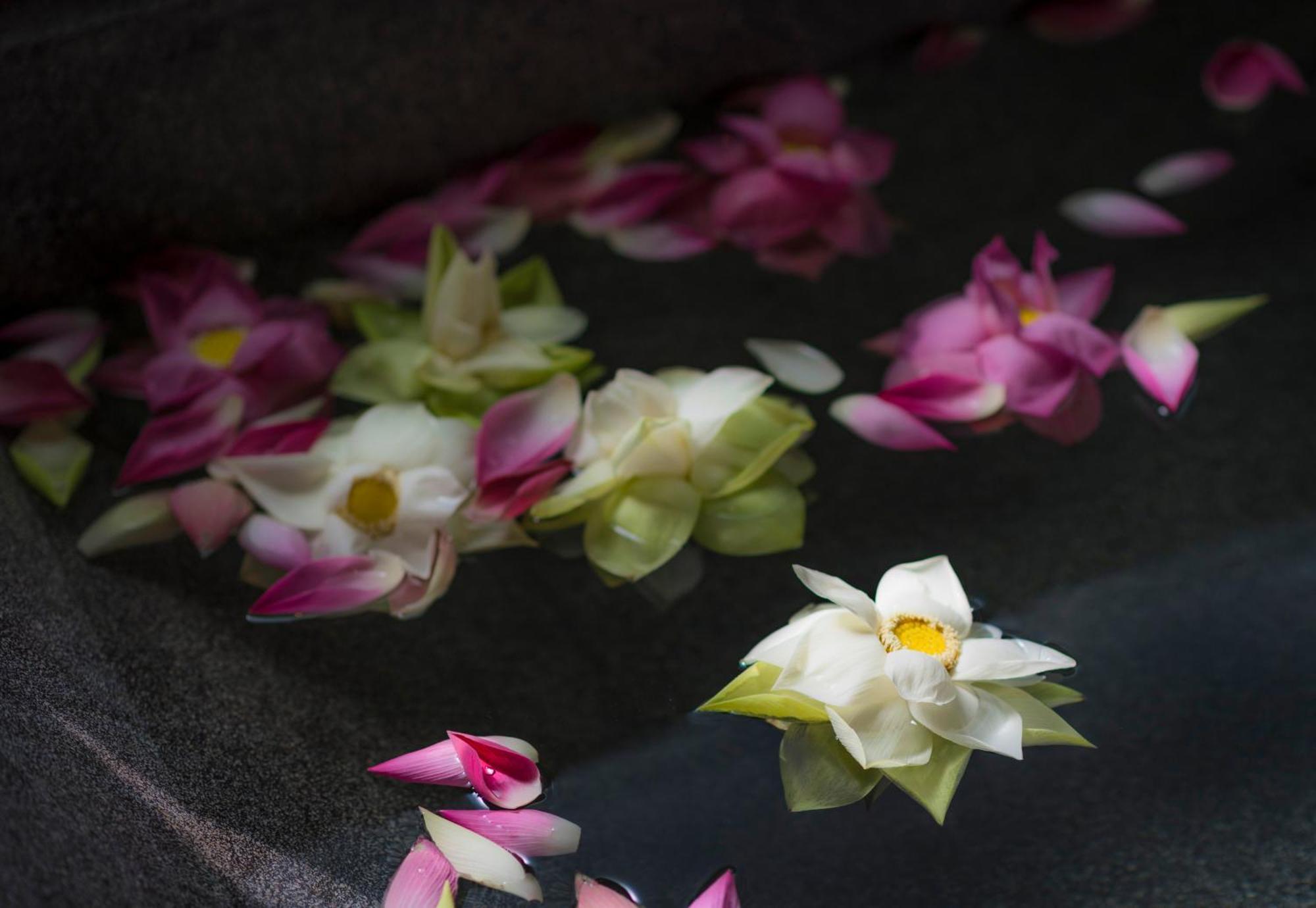 Sokkhak Boutique Resort Siem Reap Chambre photo