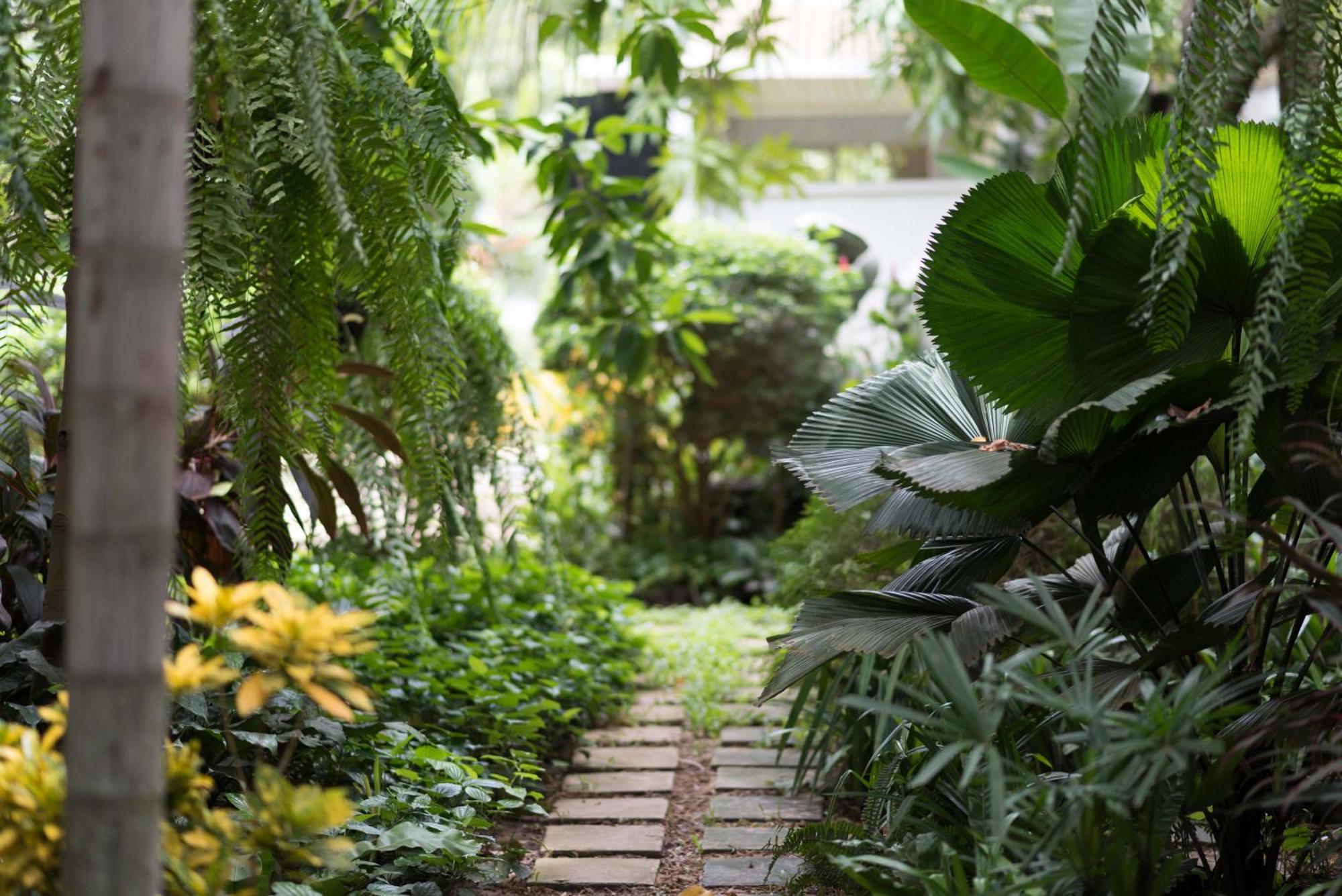 Sokkhak Boutique Resort Siem Reap Extérieur photo